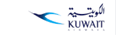 airline logotype